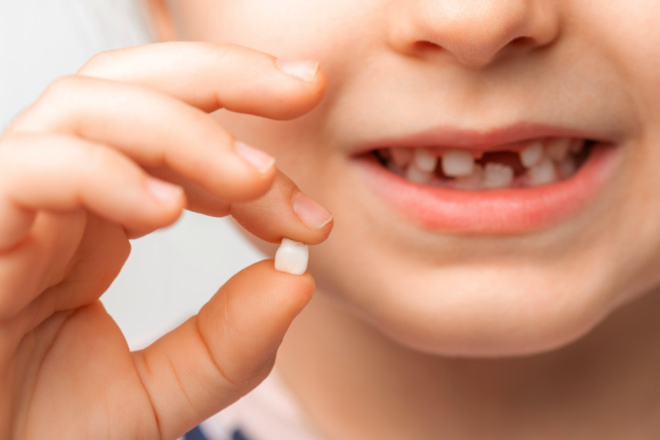 Baby teeth, What To Know When Your Child Loses Its Baby Teeth